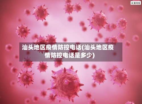 汕头地区疫情防控电话(汕头地区疫情防控电话是多少)-第1张图片