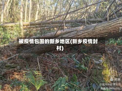 被疫情包围的新乡地区(新乡疫情封村)-第1张图片