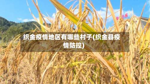 织金疫情地区有哪些村子(织金县疫情防控)-第1张图片