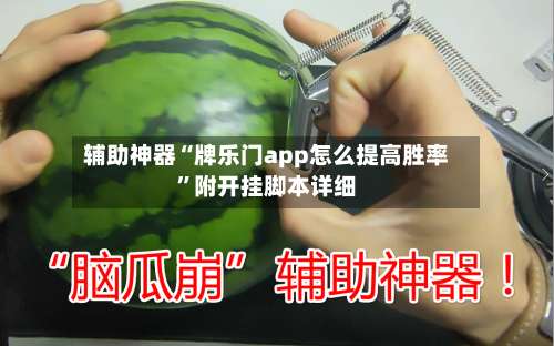辅助神器“牌乐门app怎么提高胜率”附开挂脚本详细-第2张图片