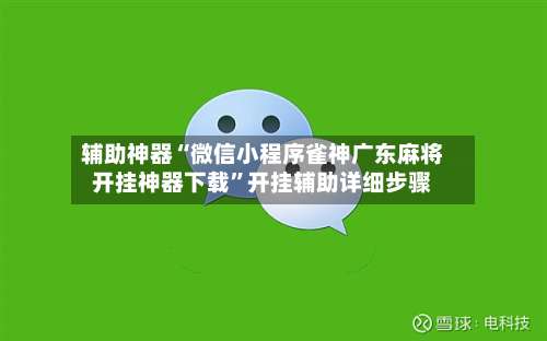辅助神器“微信小程序雀神广东麻将开挂神器下载”开挂辅助详细步骤-第2张图片