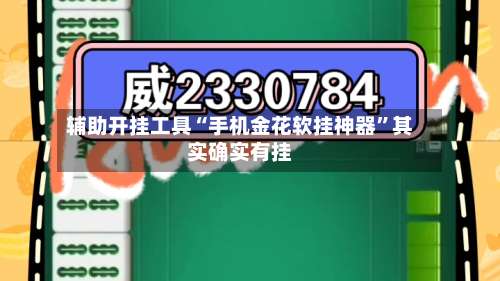 辅助开挂工具“手机金花软挂神器”其实确实有挂-第2张图片