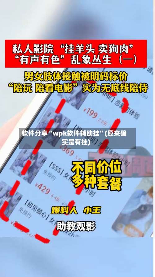 软件分享“wpk软件辅助挂”(原来确实是有挂)-第2张图片