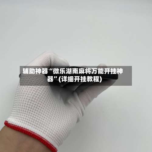 辅助神器“微乐湖南麻将万能开挂神器”(详细开挂教程)-第1张图片