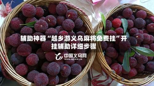 辅助神器“越乡游义乌麻将免费挂”开挂辅助详细步骤-第2张图片