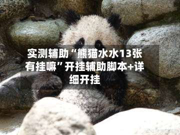 实测辅助“熊猫水水13张有挂嘛”开挂辅助脚本+详细开挂-第2张图片