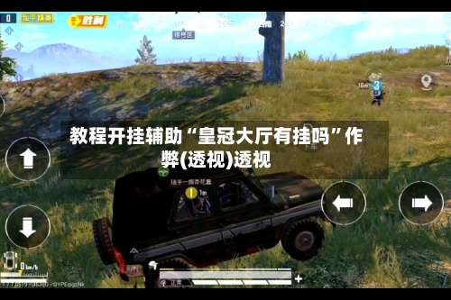 教程开挂辅助“皇冠大厅有挂吗”作弊(透视)透视-第1张图片