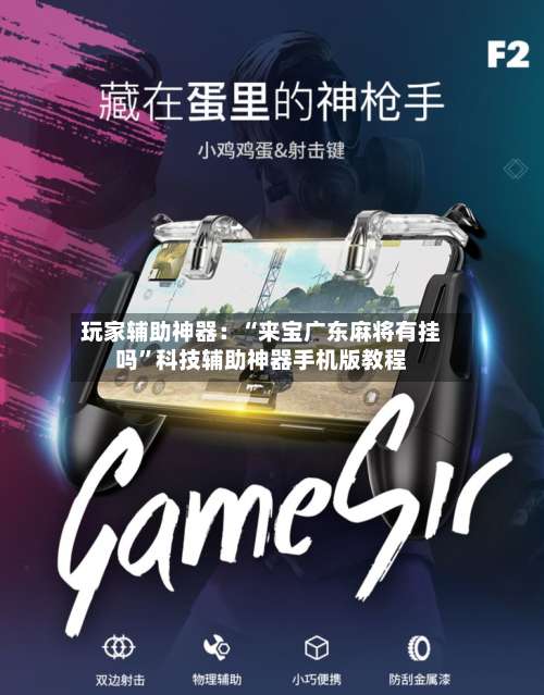 玩家辅助神器：“来宝广东麻将有挂吗”科技辅助神器手机版教程-第2张图片