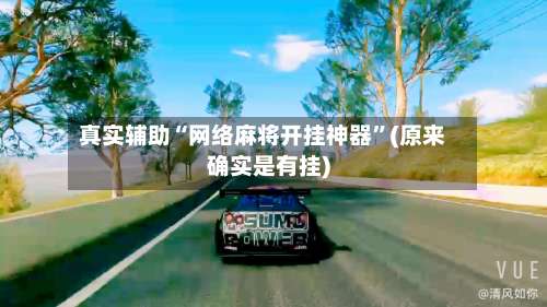 真实辅助“网络麻将开挂神器”(原来确实是有挂)-第1张图片