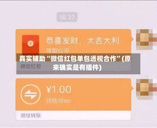 真实辅助“微信红包单包透视合作”(原来确实是有插件)-第1张图片