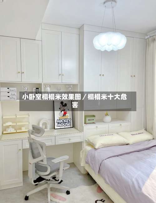 小卧室榻榻米效果图／榻榻米十大危害-第1张图片