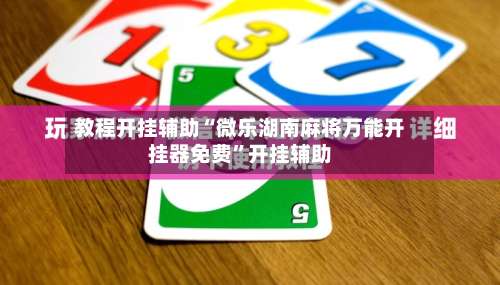 教程开挂辅助“微乐湖南麻将万能开挂器免费”开挂辅助-第3张图片