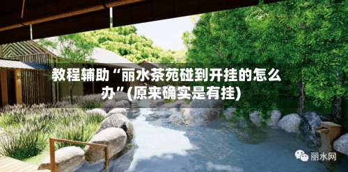 教程辅助“丽水茶苑碰到开挂的怎么办	”(原来确实是有挂)-第1张图片