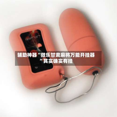 辅助神器“微乐甘肃麻将万能开挂器	”其实确实有挂-第3张图片