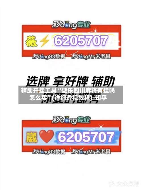 辅助开挂工具“微乐四川麻将有挂吗怎么买”(详细透视教程)-知乎-第1张图片