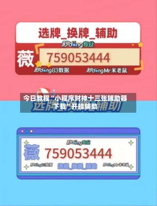 今日教程“小程序财神十三张辅助器下载”开挂辅助-第3张图片