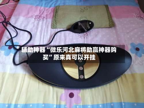 辅助神器“微乐河北麻将助赢神器购买	”原来真可以开挂-第2张图片