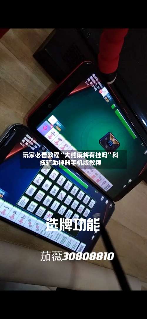 玩家必看教程“大熊麻将有挂吗	”科技辅助神器手机版教程-第2张图片
