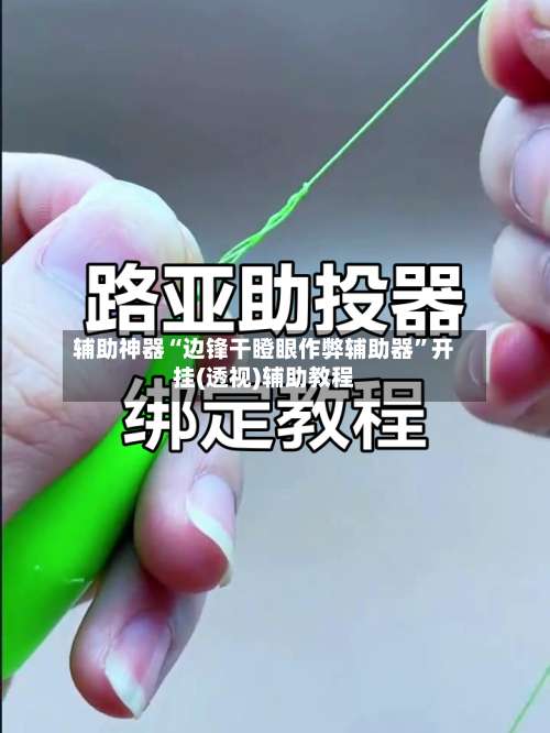 辅助神器“边锋干瞪眼作弊辅助器”开挂(透视)辅助教程-第1张图片