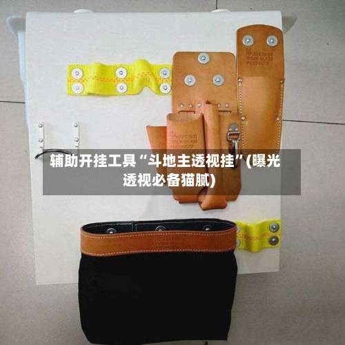 辅助开挂工具“斗地主透视挂”(曝光透视必备猫腻)-第2张图片