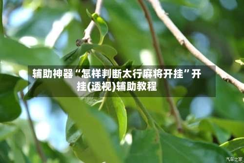 辅助神器“怎样判断太行麻将开挂	”开挂(透视)辅助教程-第1张图片