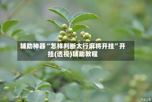 辅助神器“怎样判断太行麻将开挂”开挂(透视)辅助教程-第2张图片