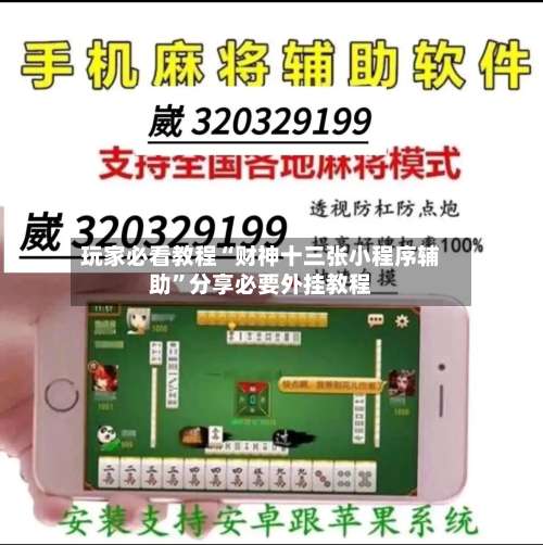 玩家必看教程“财神十三张小程序辅助	”分享必要外挂教程-第2张图片