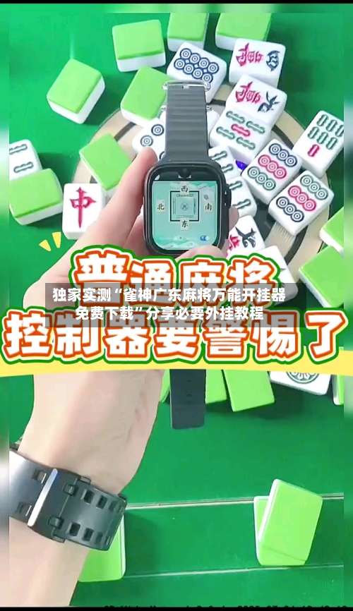 独家实测“雀神广东麻将万能开挂器免费下载”分享必要外挂教程-第3张图片
