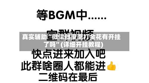真实辅助“微信群里面打金花有开挂了吗”(详细开挂教程)-第3张图片