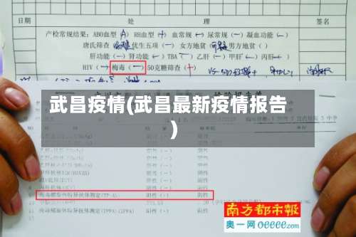 武昌疫情(武昌最新疫情报告)-第2张图片