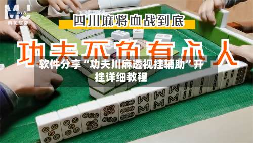 软件分享“功夫川麻透视挂辅助	”开挂详细教程-第1张图片
