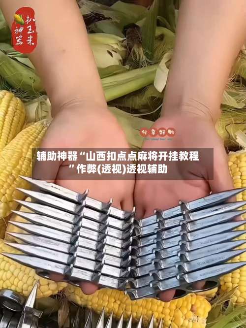 辅助神器“山西扣点点麻将开挂教程”作弊(透视)透视辅助-第1张图片