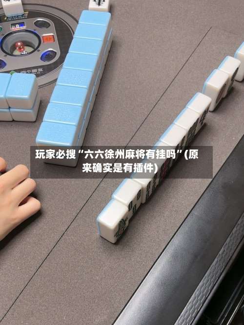 玩家必搜“六六徐州麻将有挂吗”(原来确实是有插件)-第1张图片