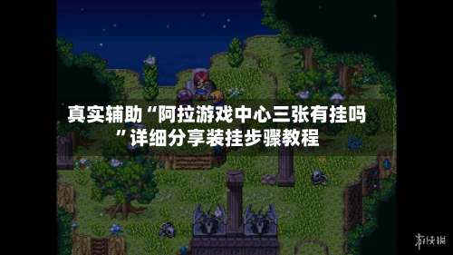 真实辅助“阿拉游戏中心三张有挂吗	”详细分享装挂步骤教程-第2张图片