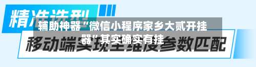 辅助神器“微信小程序家乡大贰开挂器	”其实确实有挂-第1张图片