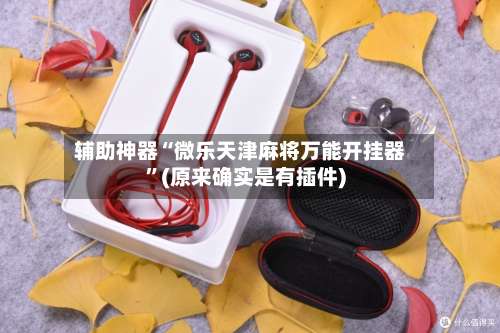 辅助神器“微乐天津麻将万能开挂器	”(原来确实是有插件)-第2张图片