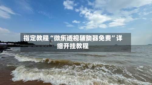 指定教程“微乐透视辅助器免费”详细开挂教程-第1张图片