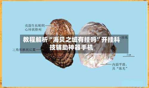 教程解析“海贝之城有挂吗	”开挂科技辅助神器手机-第1张图片