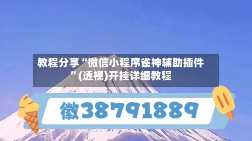 教程分享“微信小程序雀神辅助插件	”(透视)开挂详细教程-第2张图片