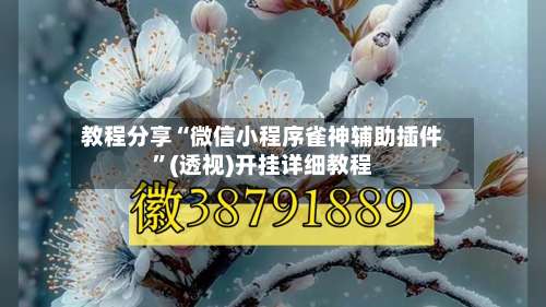 教程分享“微信小程序雀神辅助插件”(透视)开挂详细教程-第1张图片