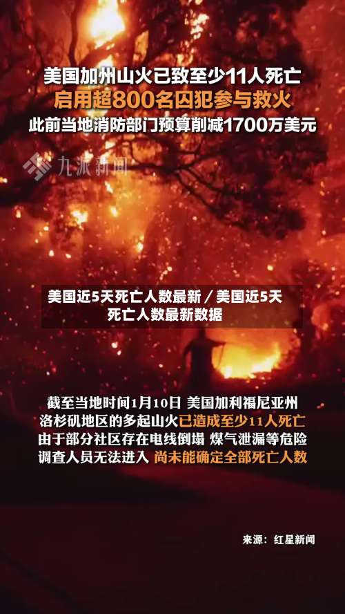 美国近5天死亡人数最新／美国近5天死亡人数最新数据-第2张图片