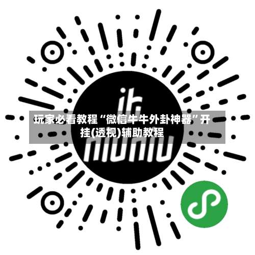 玩家必看教程“微信牛牛外卦神器	”开挂(透视)辅助教程-第2张图片