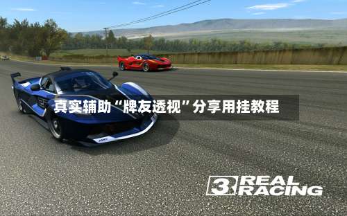 真实辅助“牌友透视”分享用挂教程-第2张图片