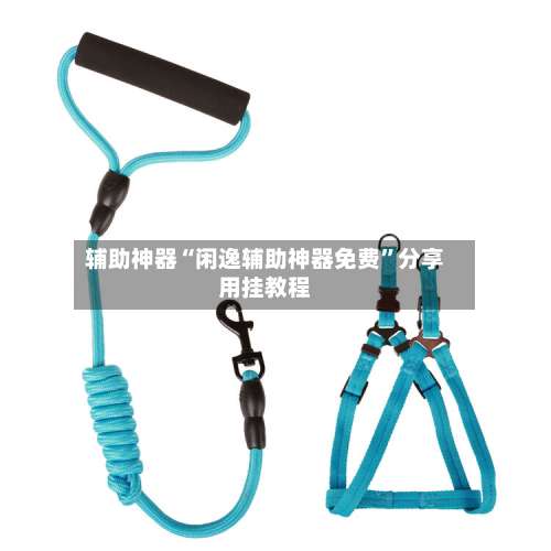 辅助神器“闲逸辅助神器免费	”分享用挂教程-第1张图片