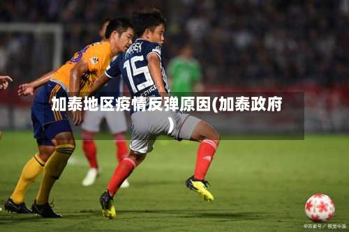 加泰地区疫情反弹原因(加泰政府)-第3张图片