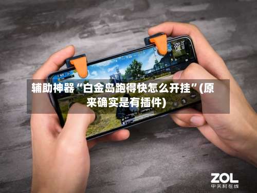 辅助神器“白金岛跑得快怎么开挂”(原来确实是有插件)-第3张图片