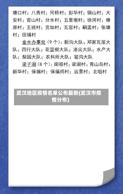 武汉地区疫情名单公布最新(武汉市疫情分布)-第2张图片