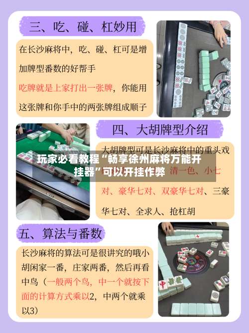 玩家必看教程“畅享徐州麻将万能开挂器”可以开挂作弊-第2张图片