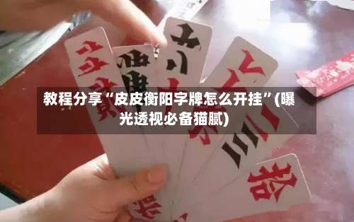 教程分享“皮皮衡阳字牌怎么开挂”(曝光透视必备猫腻)-第3张图片