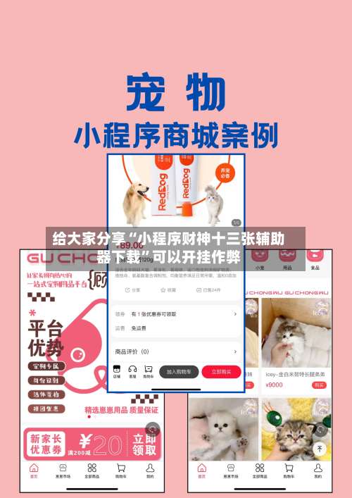 给大家分享“小程序财神十三张辅助器下载”可以开挂作弊-第3张图片